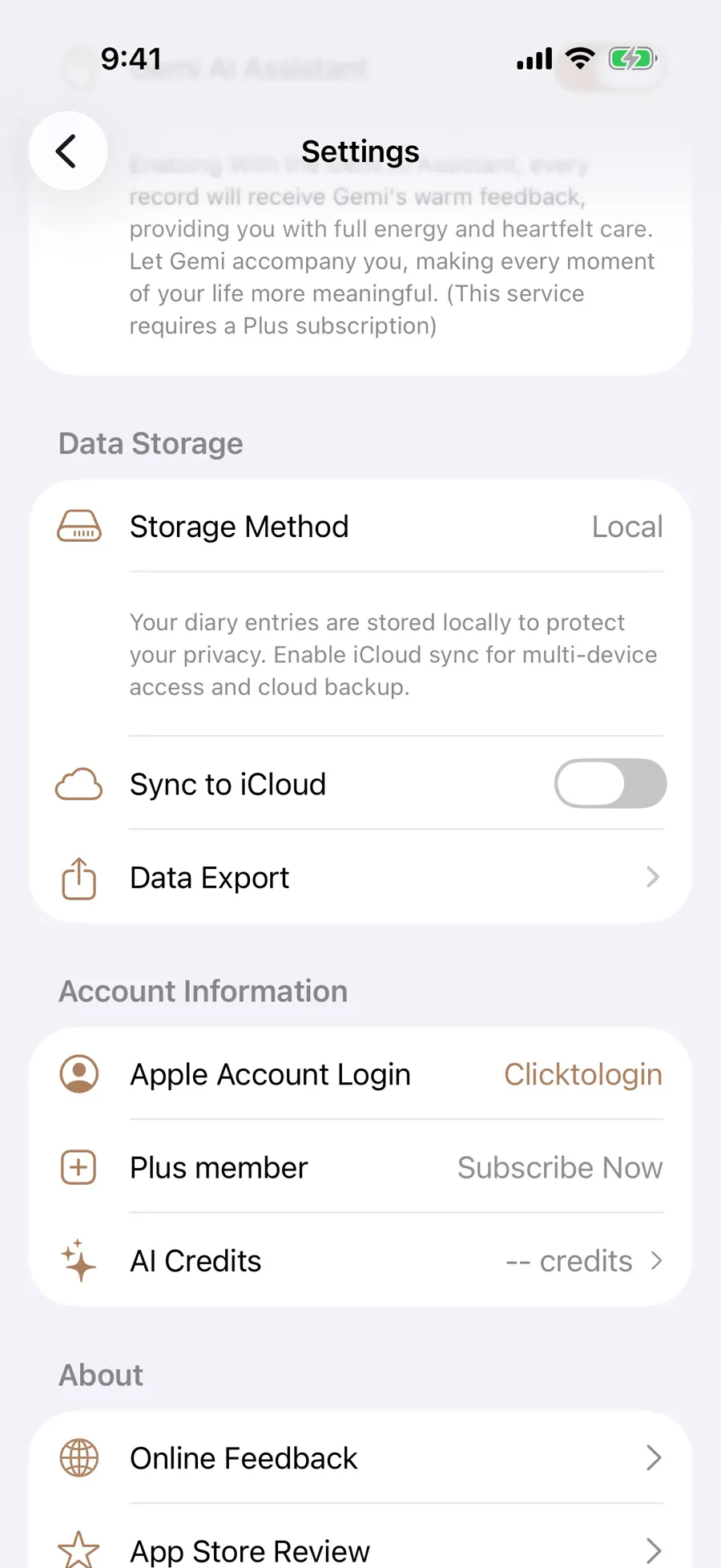 English Settings Data Storage area with Data Export below Sync to iCloud