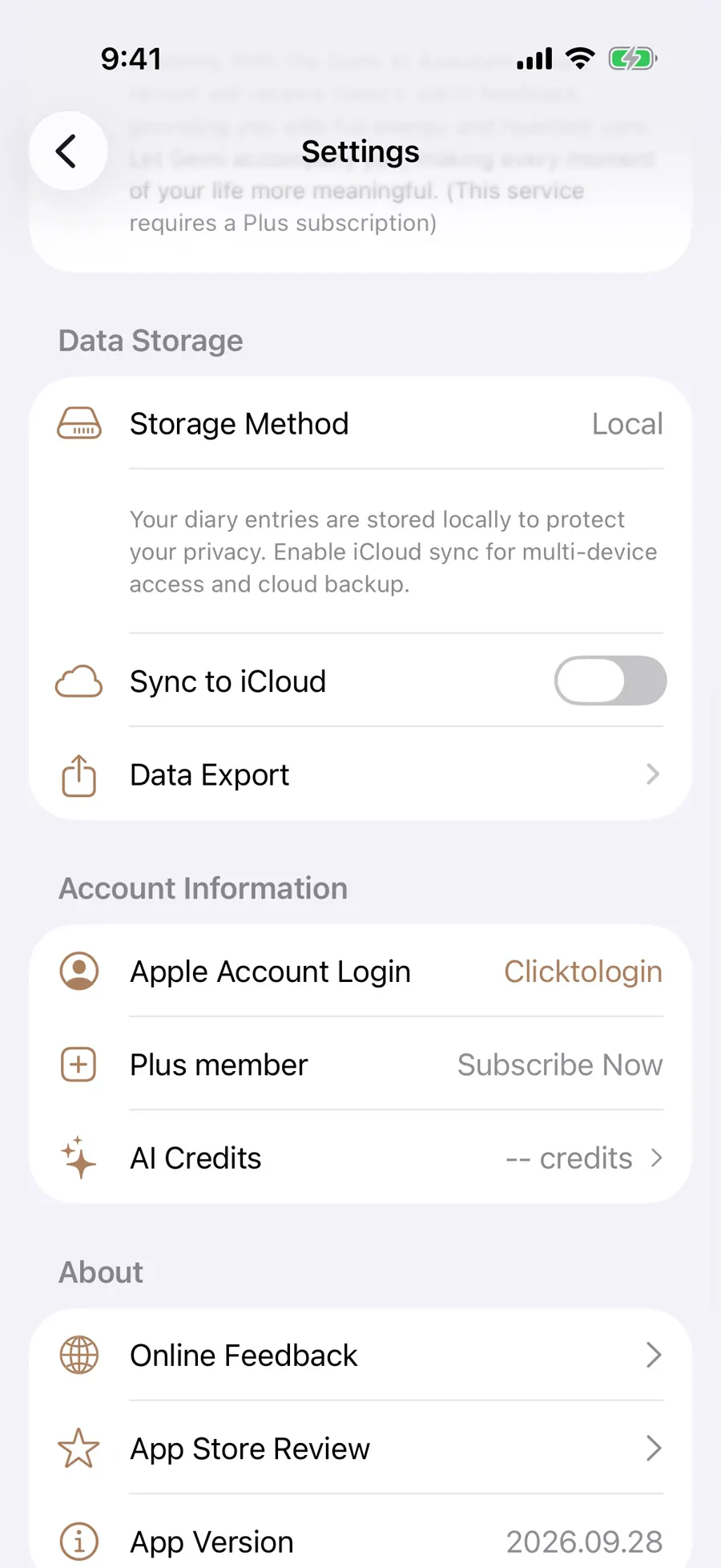 Data Storage screen showing Local storage and Sync to iCloud turned off